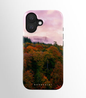 Enchanted Forest