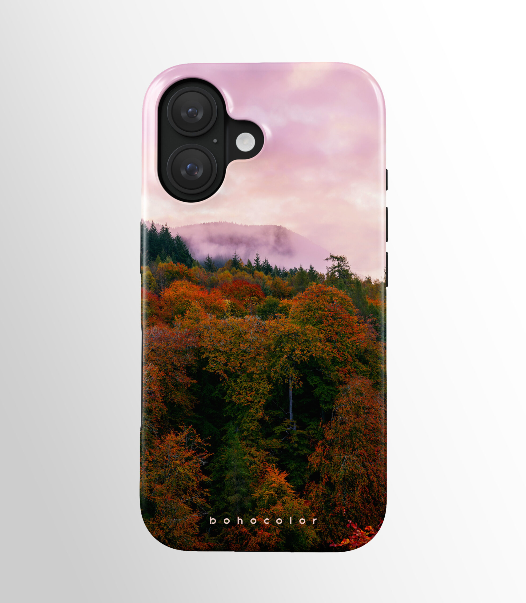 Enchanted Forest - Paveikslėlis 2