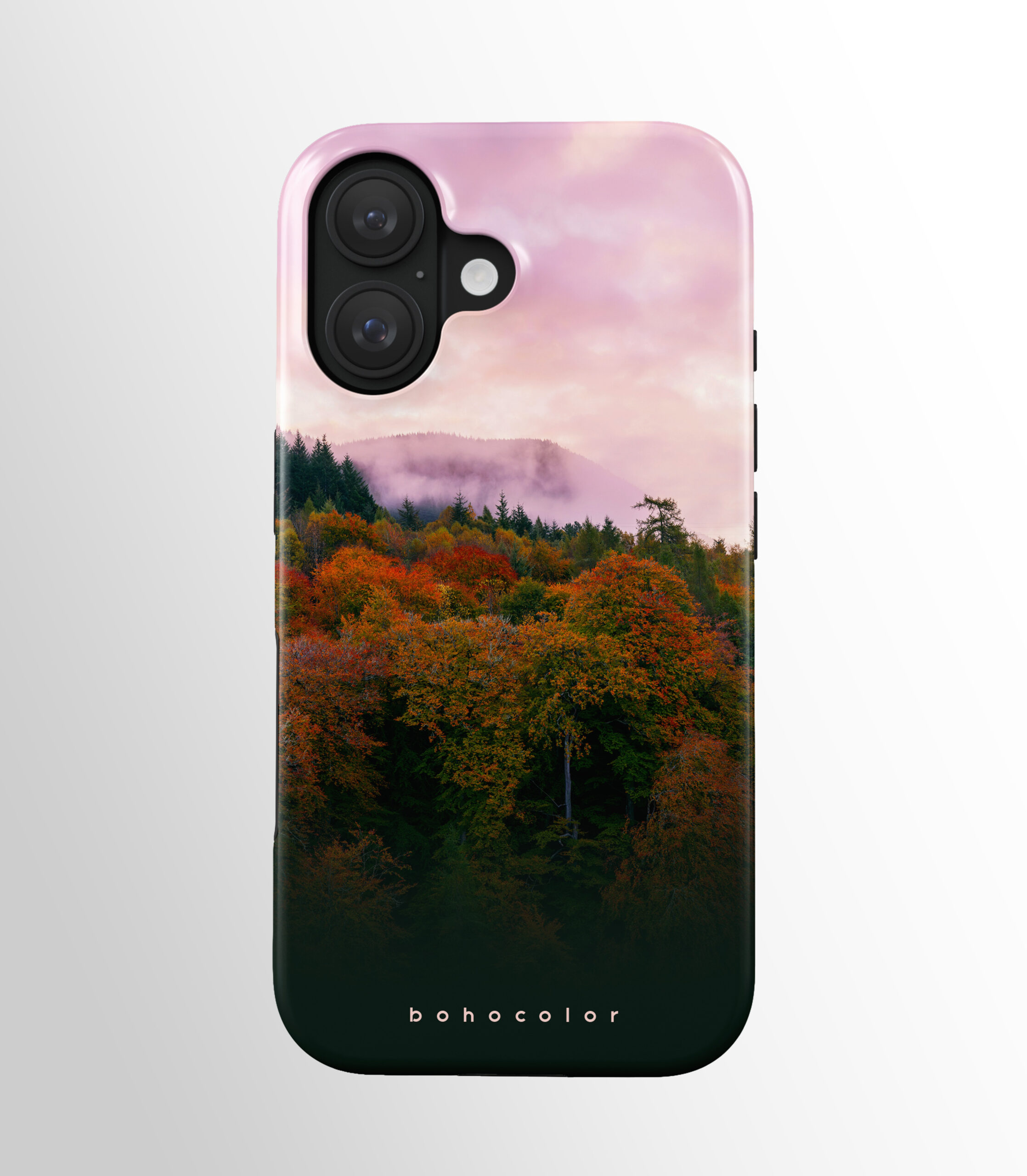 Enchanted Forest