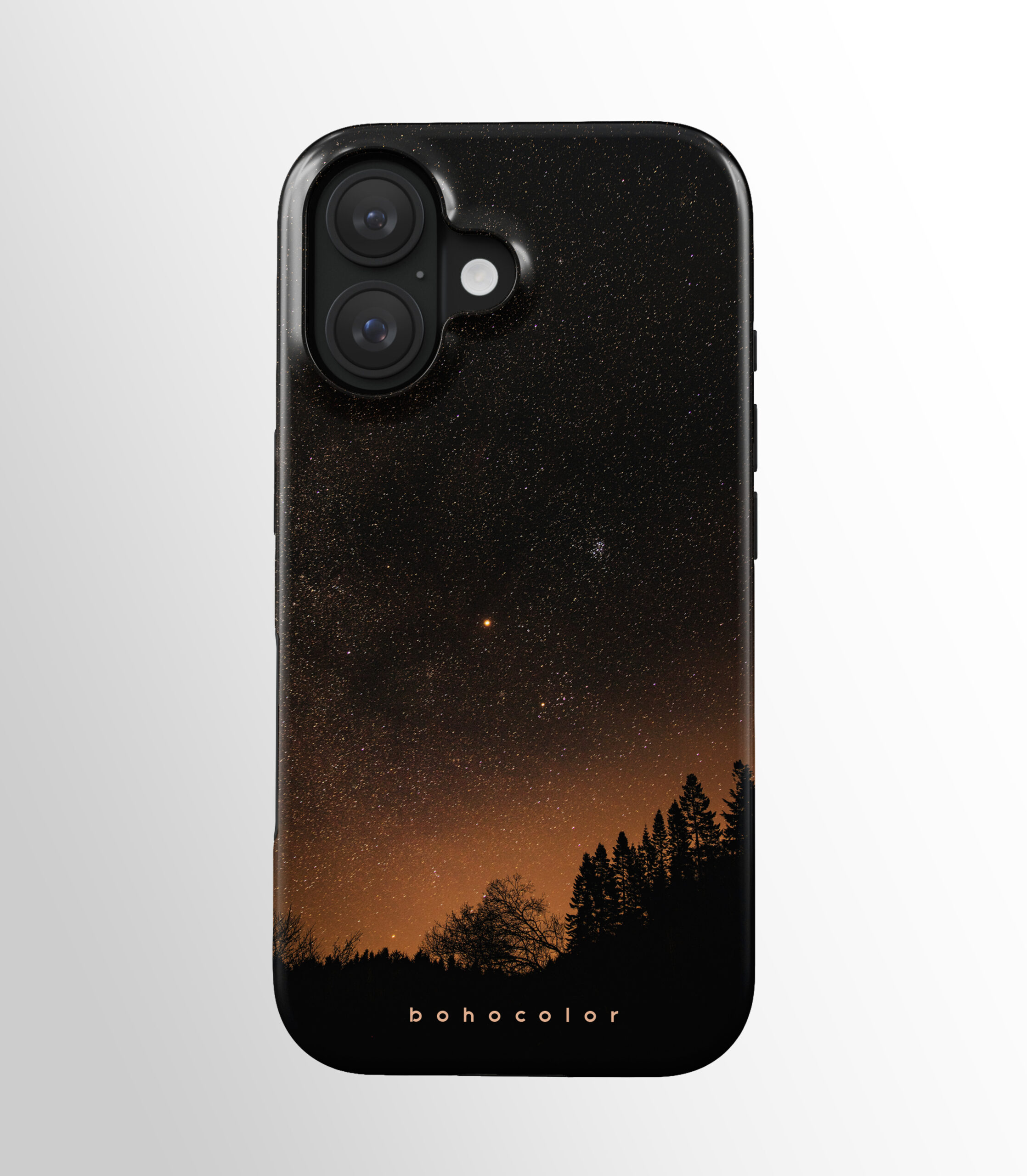 Starry Woods - Paveikslėlis 2