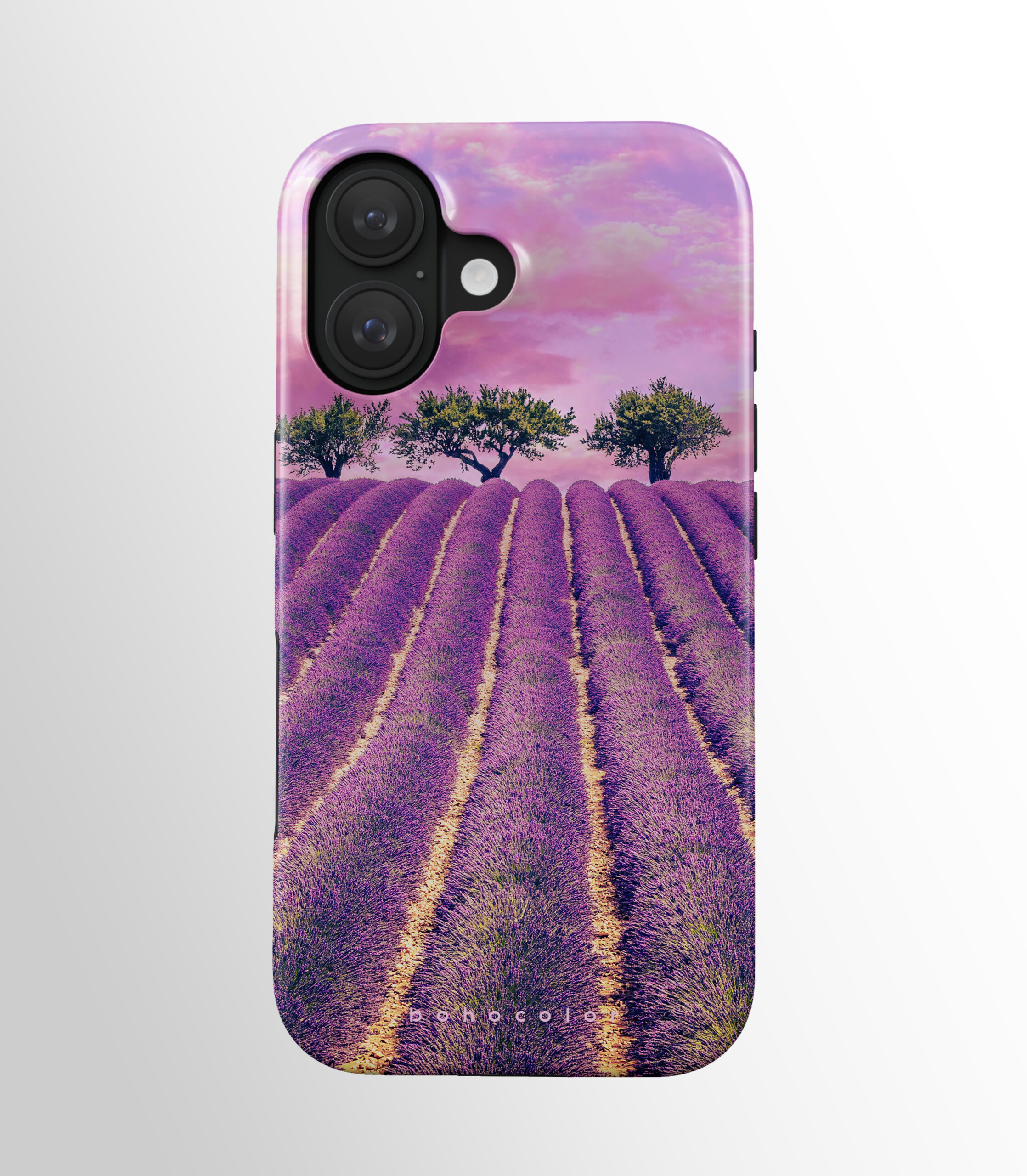 Lavender Haze - Paveikslėlis 2