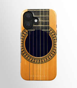 Gitaros aidas