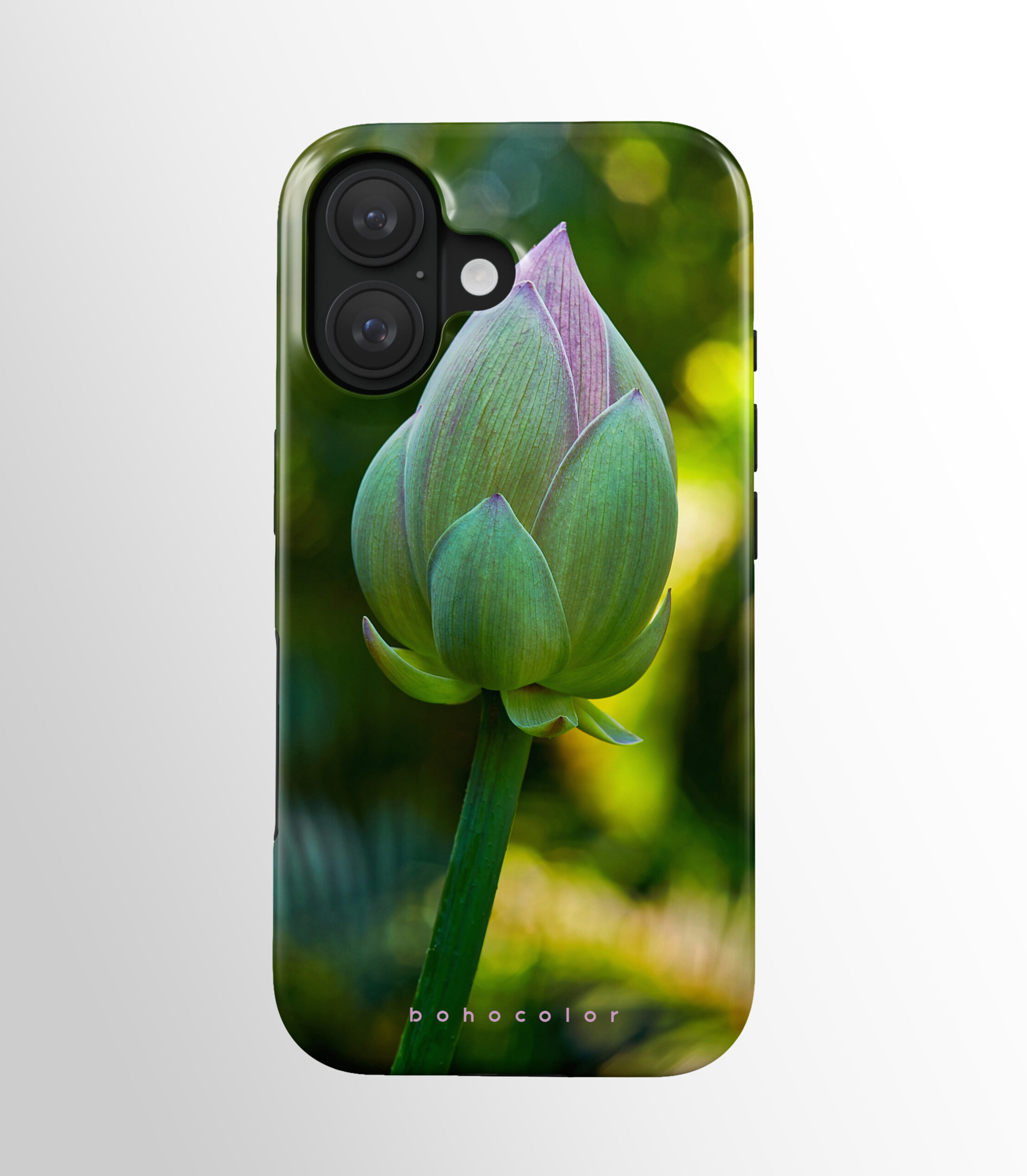 Lotus Bud - Paveikslėlis 2