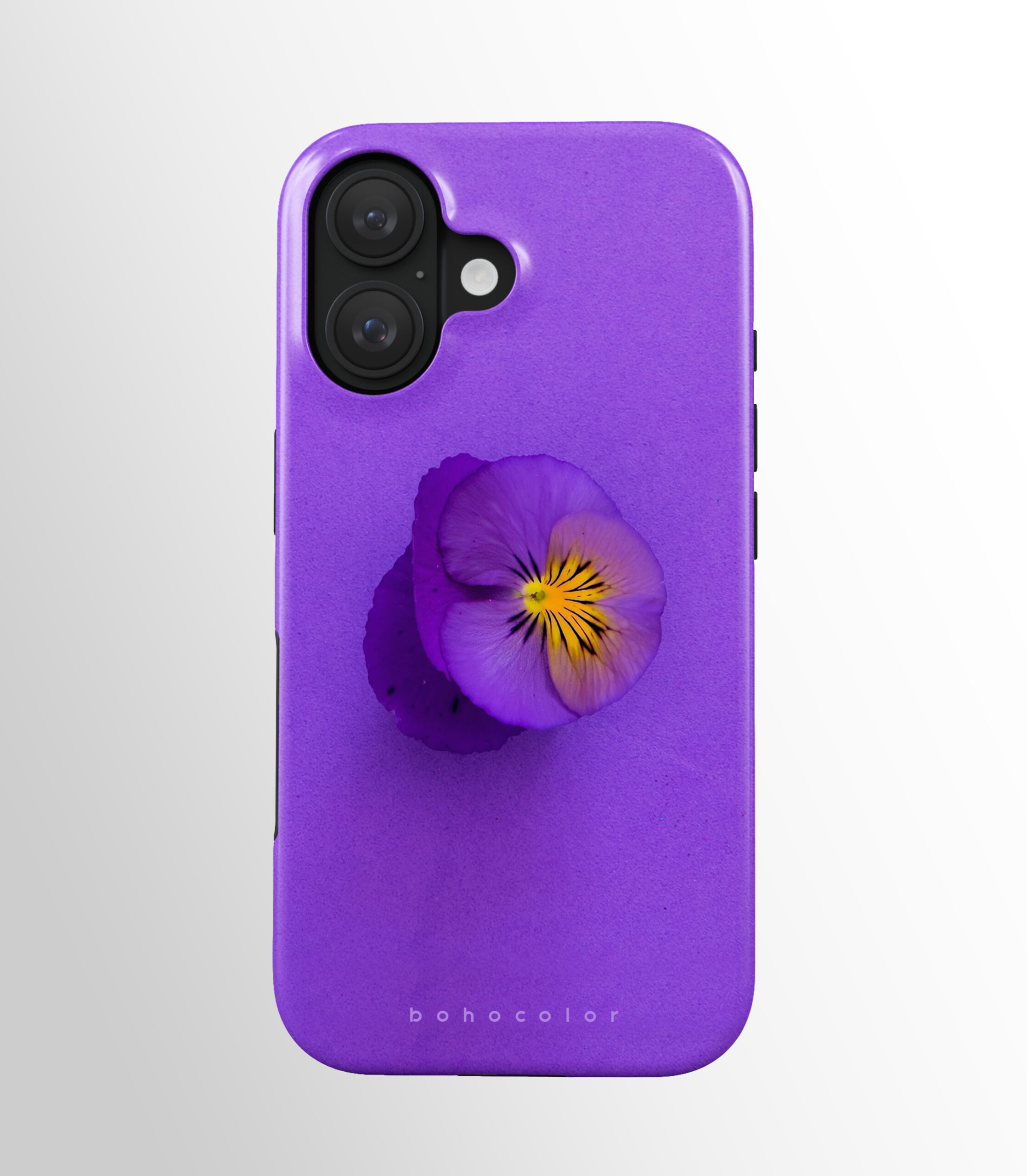 Purple Pop - Paveikslėlis 2