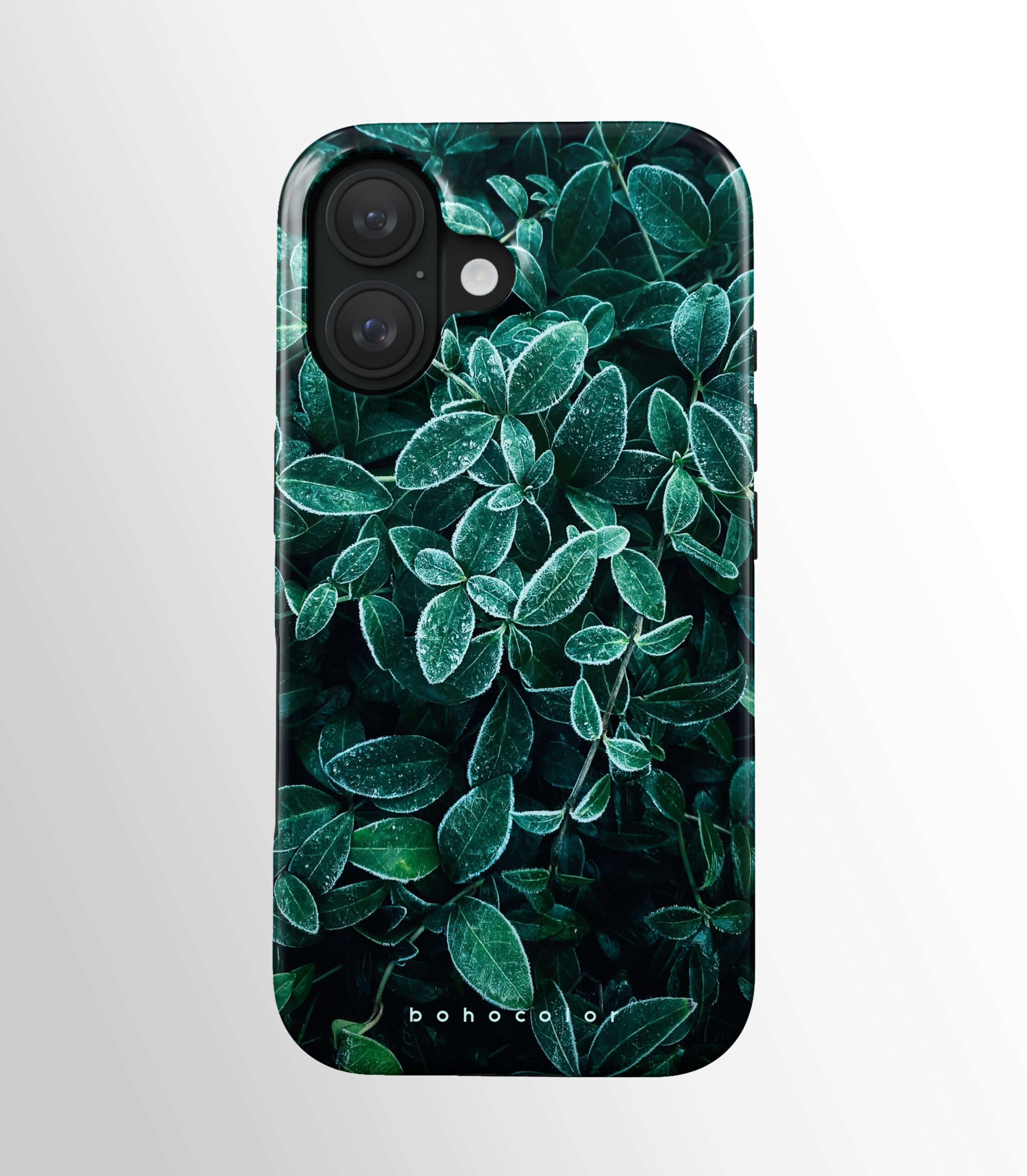 Frosty Leaf - Paveikslėlis 2