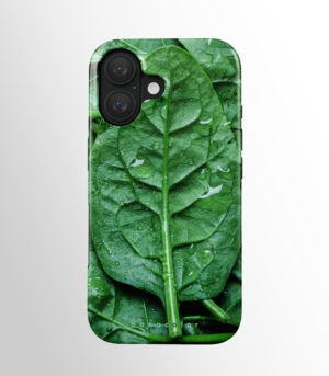 Lapų grožis